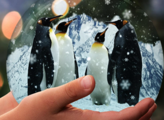 Duerme con pingüinos en Faunia