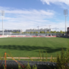 El césped ya luce en el nuevo campo del Atleti en Alcalá de Henares