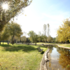 Plan Especial para los Cementerios de Alcalá ante el Covid-19 en el Día de Todos los Santos
