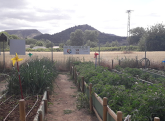 La Isla del Colegio te lleva al huerto… urbano