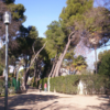 Alcalá de Henares reformará estos 10 parques y jardines