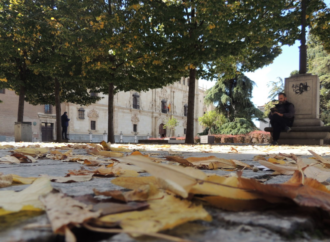 Por qué se caen las hojas y otras preguntas sobre las plantas en otoño