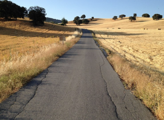 Una buena decisión puede transformar tu vida