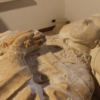 Restaurado el sepulcro de Carrillo cuyas piezas incautó la Interpol y la Guardia Civil