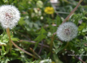 El Caserío del Henares