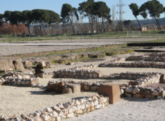 Cuando Alcalá tuvo curadores y no, no eran médicos: curiosidades complutenses. Por Mª Jesús Vázquez Madruga