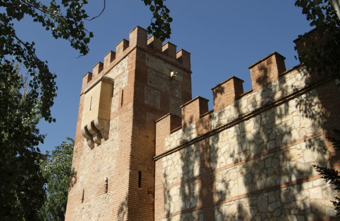 ¿Cómo pudo colarse la peste en Alcalá si cerraron todas sus murallas?