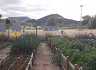 Día Mundial del Medio Ambiente: escolares del CEIP Cristóbal Colón visitan los huertos urbanos