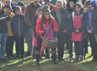 Primera derrota de la temporada de Rugby Alcalá