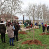 Familias de Azuqueca de Henares plantan un centenar de árboles en la localidad