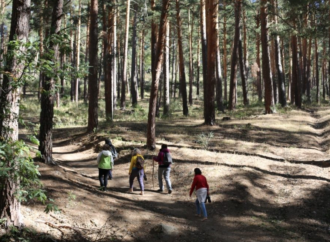 Lo último en terapias antiestrés: «Baños de Bosque» en la naturaleza