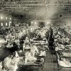 La gripe de 1918 en Madrid y Guadalajara contada en un minuto