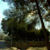 Cesión gratuita durante 75 años de una parte del parque del Coquín al nuevo campus de la Universidad de Alcalá