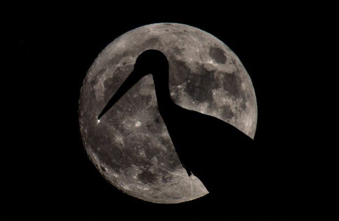 Esta noche de luna llena el espectáculo está en el cielo y desde “Plena Moon” te invitan a celebrarlo