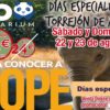 Este fin de semana finalizan los Días Especiales de Torrejón con grandes descuentos en el Zoo Aquarium