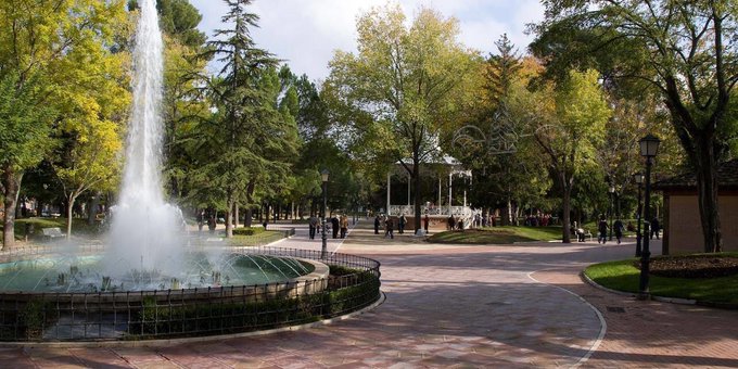 Guadalajara actuará de nuevo contra la galeruca del olmo y los mosquitos en los parques de la ciudad