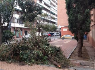 Alcalá cuantifica los daños sufridos por el temporal de nieve en 13 millones de euros  