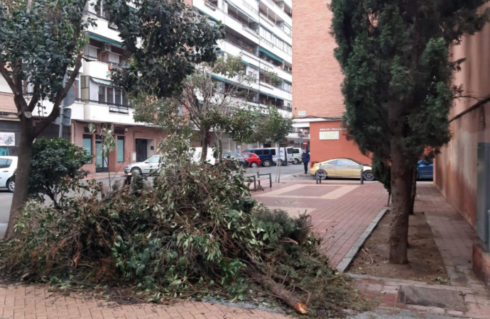 Temporal Alcalá: atentos a los desprendimientos en fachadas y cornisas o la caída de árboles
