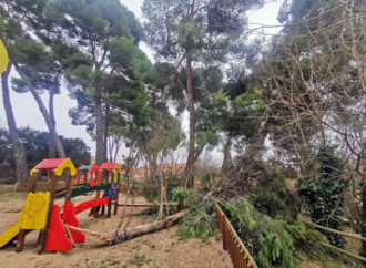 Azuqueca cierra de manera preventiva los parques de La Quebradilla y Los Almendros debido a los daños provocados por Filomena