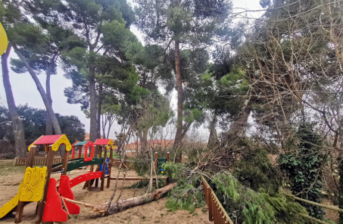 Azuqueca cierra de manera preventiva los parques de La Quebradilla y Los Almendros debido a los daños provocados por Filomena