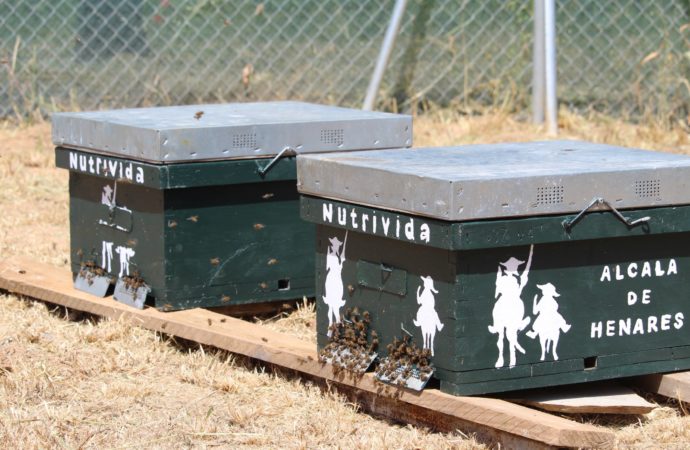 La Isla del Colegio de Alcalá ya cuenta con nuevas colmenas de abejas y un nuevo espacio llamado “Oasis Mariposas” para continuar con la estrategia de polinización de la zona