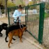 Coslada pone en marcha la campaña de control de animales domésticos ‘Pisa tranquilo, cacas no’ 