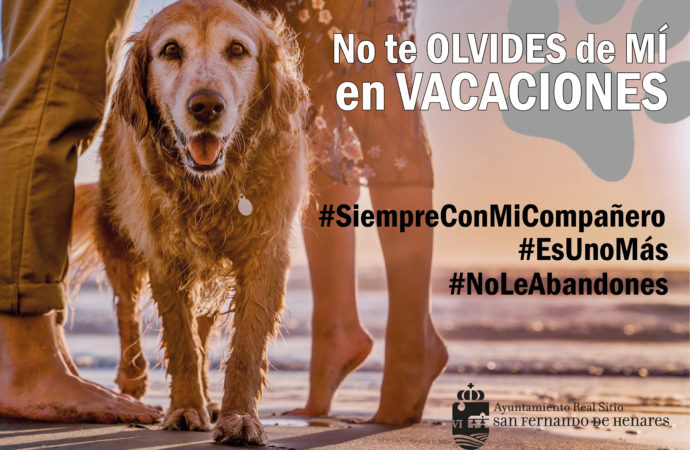 Campaña veraniega contra el abandono animal en San Fernando