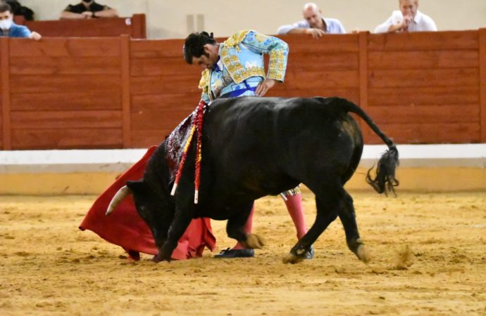 Vuelven los toros y encierros a las Fiestas de Alcalá 2023, según el anuncio de los empresarios