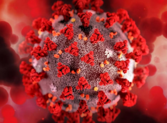 COVID-19 / Un estudio liderado por el Hospital de Alcalá permite predecir la mortalidad en la enfermedad