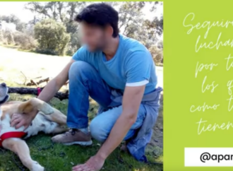 La Justicia condena por primera vez en la provincia de Guadalajara el maltrato a un perro, al que la condenada abandonó sin alimentos