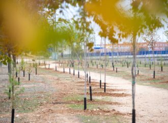 Alcalá incrementa su Patrimonio Verde con la plantación de mil especies arbóreas en el bosque urbano del Parque Lineal Félix Rodríguez de la Fuente 
