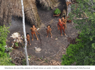 Un estudio de la UAH demuestra que existen 43 grupos de indígenas aislados amenazados por intereses mineros en la Amazonía brasileña