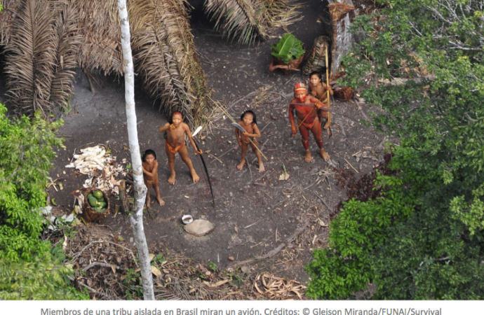 Un estudio de la UAH demuestra que existen 43 grupos de indígenas aislados amenazados por intereses mineros en la Amazonía brasileña