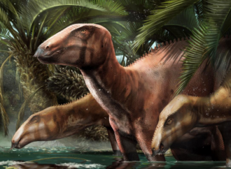 Nuevos especímenes de dinosaurio reescriben la geografía del Mediterráneo hace 80 millones de años