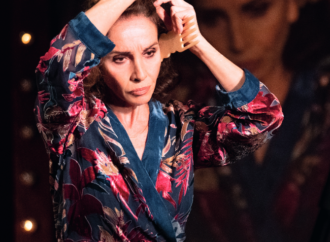 Ana Belén, «El Brujo», el Ballet Nacional de España… Programación Cultural Enero-Febrero-Marzo 2022 en Torrejón de Ardoz