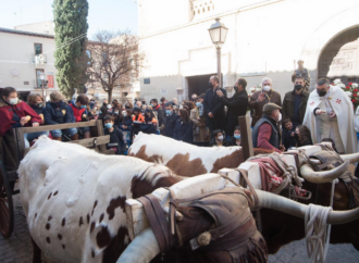 San Antón 2022 en Alcalá de Henares: así fue la bendición de animales