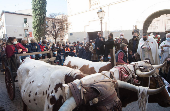 San Antón 2022 en Alcalá de Henares: así fue la bendición de animales