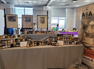 Más de 500 asistentes en las IX Jornadas Apícolas en Azuqueca de Henares