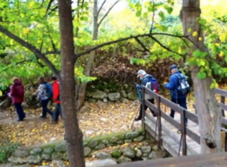 Vuelve el programa de senderismo y los bailes, que se suman a fisioterapia, podología y peluquería para los Mayores de Torrejón