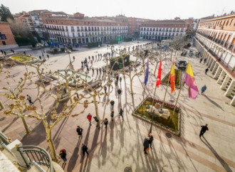 Covid-19 / Segunda entrega gratuita de test de antígenos por parte del Ayuntamiento de Torrejón de Ardoz