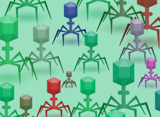 No todos es malo con los virus, algunos «pueden ayudar a mejorar nuestra existencia» / Universidad de Alcalá