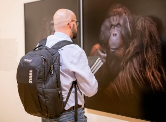 PhotoEspaña: The Animals, de Estela de Castro, ya se puede visitar en Alcalá de Henares