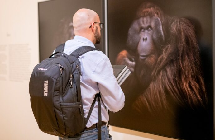 PhotoEspaña: The Animals, de Estela de Castro, ya se puede visitar en Alcalá de Henares