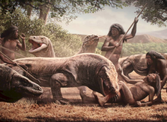 Nueva exposición en el Museo Arqueológico y Paleontológico Regional de Alcalá de Henares