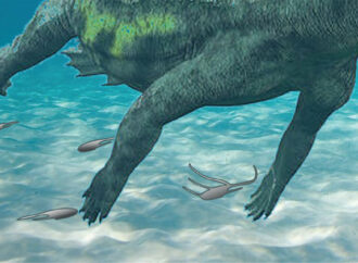 Descubren huellas de notosaurio del Triásico en Guadalajara