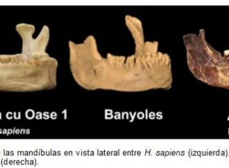 Nueva teoría que relaciona ‘La mandíbula de Banyoles’ con nuestra especie