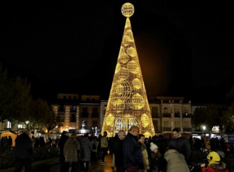 El árbol de la Lotería de Navidad ilumina ya la Plaza de Cervantes de Alcalá de Henares