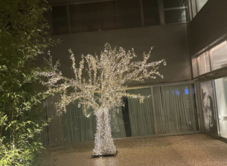 Encendido del «Árbol de las Letras» de la Navidad en el Parador de Alcalá de Henares