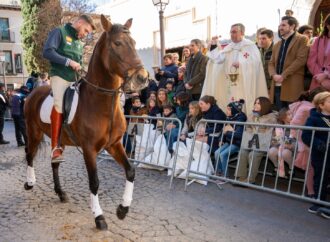 San Antón / La Calle Mayor de Alcalá se volvió a llenar de animales que recibieron su bendición
