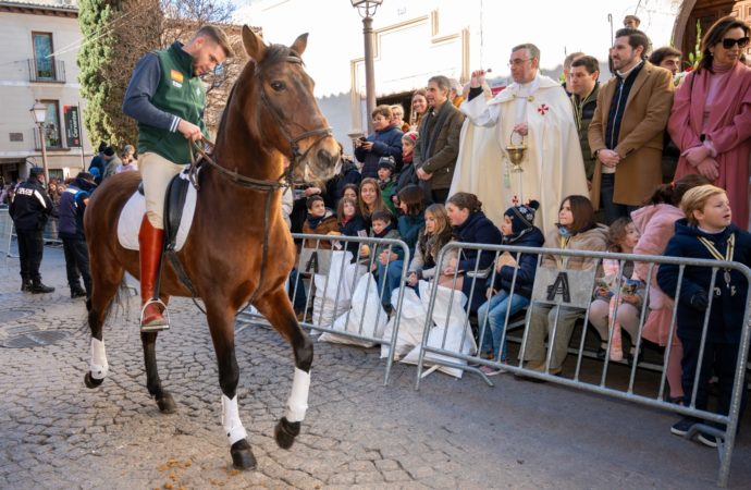 San Antón / La Calle Mayor de Alcalá se volvió a llenar de animales que recibieron su bendición